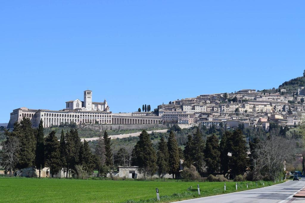 Apartments Aurora Delle Rose Assisi Eksteriør bilde